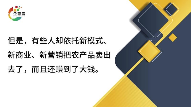 餐饮行业短视频代运营哪家好