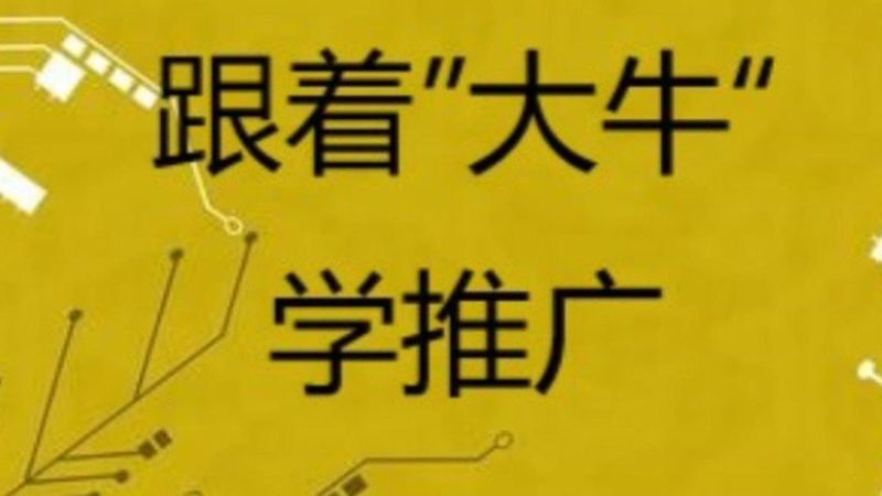 整站优化参数设置，这些关键点你不可不知**